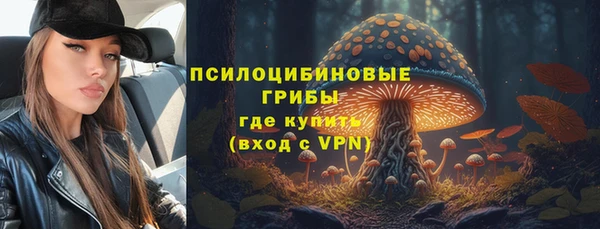 соль ск Алексеевка