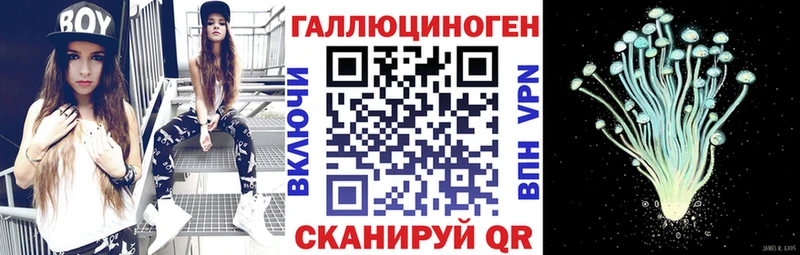 Галлюциногенные грибы прущие грибы  Купить где  Белёв 